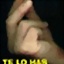 Terrana
