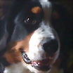 ltima foto del fotolog de blank220