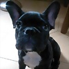 Foto de kiaraYsam