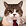 Foto de socratelechat