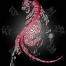 Tora