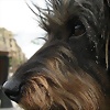 Foto de ana-duna
