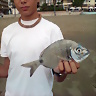 ale_pescador