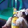 Foto de smypace