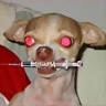 fleka