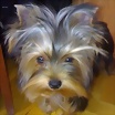 Foto de eliykuky
