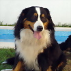 ltima foto del fotolog de shaya3