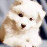 Atenea_9039