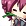 Foto de x-envy-chan-x
