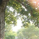 SaanTeeH