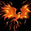 Foto de DragonFenix13