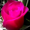 Foto de maravillas10