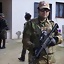 the_gunny