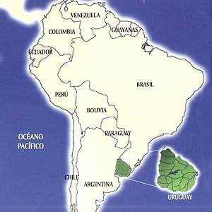 Foto del usuario