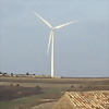 Foto de Arbellon