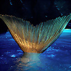 ltima foto del fotolog de natalia_h2o
