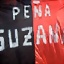 pea_suzana