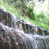 Foto de trufita3