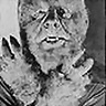 LOBO-HOMBRE
