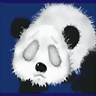Panda79