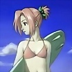 ltima foto del fotolog de sakura_sakurita