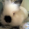 Foto de Mi_Beni