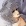 Foto de Sakuya_Hino