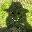 ltima foto del fotolog de malagascar