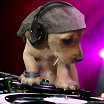 ltima foto del fotolog de xx_sweets_xx