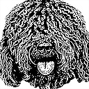 TurcoAndaluzNala