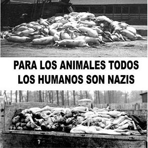 Foto del usuario