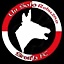 bsc1907