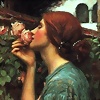 Foto de SaxtonRoses