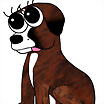 ltima foto del fotolog de Admin_molosos