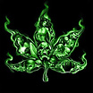 ltima foto del fotolog de kanute_loco