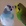 Foto de Valenc1ana