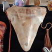 ltima foto del fotolog de megalodont