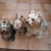 Foto de carmeneg