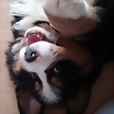 Foto de jabuqui