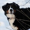 Foto de M4riel
