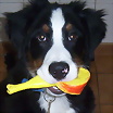 ltima foto del fotolog de maristel
