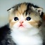 syl_97