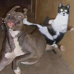 Foto del usuario