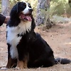 Foto de UROS007