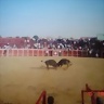 Fruiss
