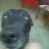 Foto de gerad