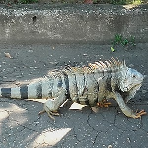 Foto del usuario