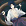 Foto de Sasuke-kun_Uchiha