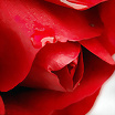 ltima foto del fotolog de FLIKKA