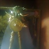 Foto de dios_18